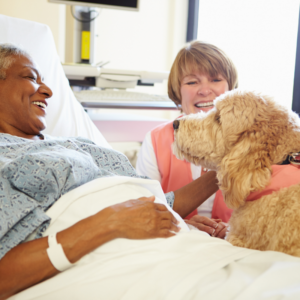 Corso Base per Coadiutore del cane e animali d'affezione (IAA)